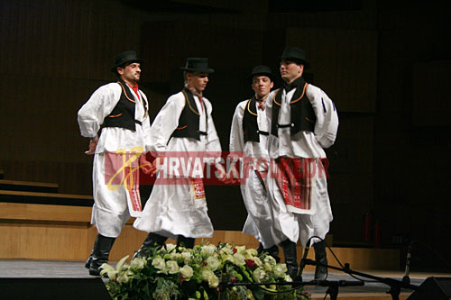 lisinskizeljeznicar (17)